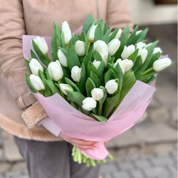 45 белых тюльпанов