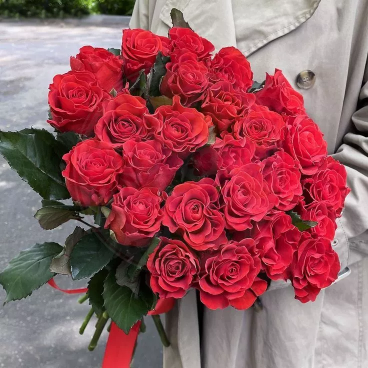 25 красных роз эльторо