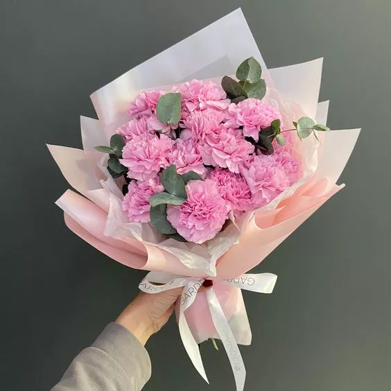 Розовые гвоздики
