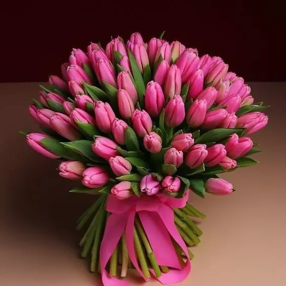 101 рожевий тюльпан