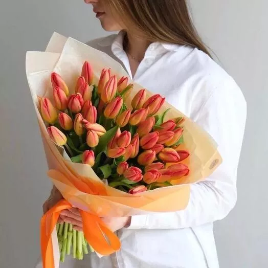 51 оранжевый тюльпан