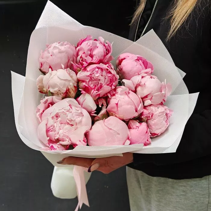 11 розовых пионов